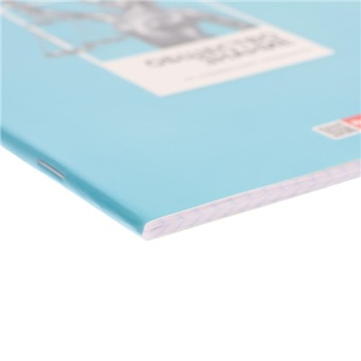 Тетрадь предметная, 48 листов в клетку "Цветная классика", Обществознания, обложка мелованный картон, выборочный лак, со справочной информацией