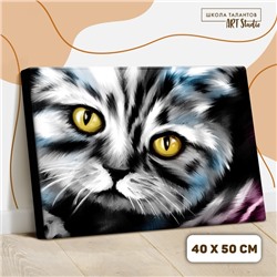 Картина по номерам на холсте с подрамником «Котик» 40х50 см