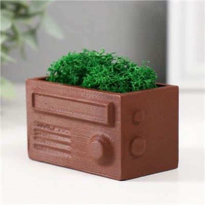 Кашпо бетонное мини "Ретро радио" со мхом светло коричневый 8х4х4,5см (мох зеленый стабил.)