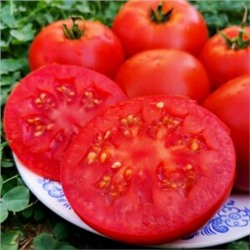 Помидоры Матушка Царица — Mother Queen Tomato (10 семян)