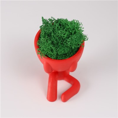 Кашпо бетонное мини "Мистер Грин" Мидзару со мхом красный 5,5х6,5х6,5 см (мох зелен стабил)