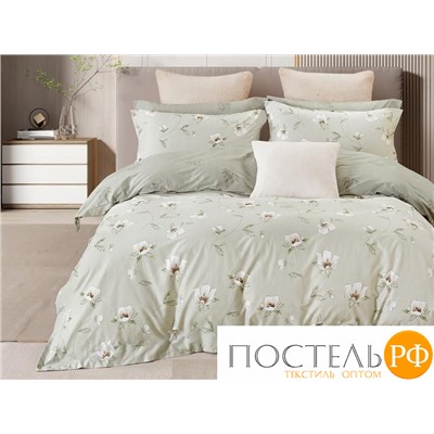 CH20/300-PCE КПБ CL HOME Поплин "Pure Cotton" двуспальный 175*215*1 200*220*1(±5) 70*70*2(±2) в ПВХ (UZ)