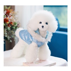 Куртка для собак "Легкость", размер XS (ДС 19, ОГ 28, ОШ 19 см, до 3 кг), голубая