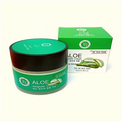 Крем для лица с экстрактом алоэ Ye Gam Top Face Ampule Cream Aloe 70 gКорейская косметика по оптовым ценам. Популярные бренды Корейской косметалогии в интернет магазине ooptom.ru.