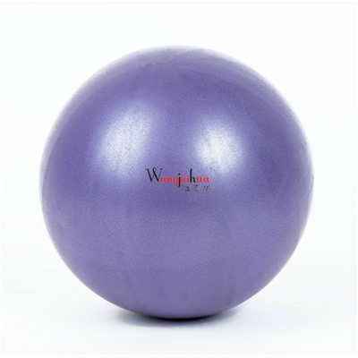 Мяч гимнастический Wangjiahua 25 см