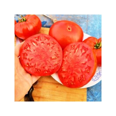 Помидоры Моя — Moya Tomatoes (10 семян)