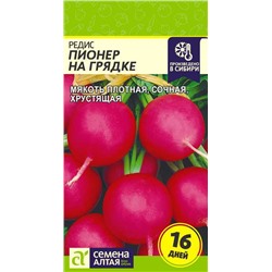 Редис Пионер на Грядке (16 дней)/Сем Алт/цп 1 гр.