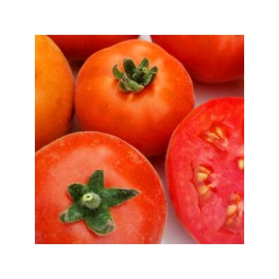 Помидоры Пушистый Персиковый Лилипут — Persik Dwarf Tomato (10 семян)