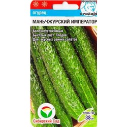 Огурец Маньчжурский император