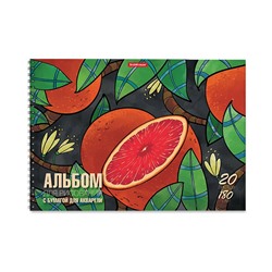 Альбом д/р с бум д/аквар на спир Juicy Fruits, А4, 20л