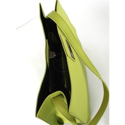 Сумка женская искусственная кожа XHD-2750,  1отд,  плеч/ремень,  зеленый 260532
