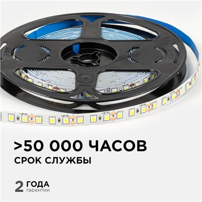 Светодиодная лента Apeyron 12В, SMD2835, 5 м, IP20, 9.6Вт/м, 120 LED/м, 6500К