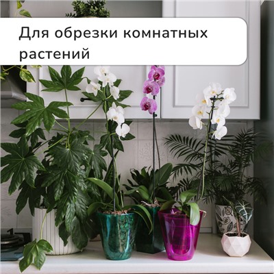 Ножницы садовые, 8" (20 см), с пластиковыми ручками, Greengo