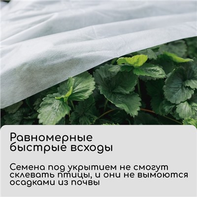 Материал укрывной, 5 × 1,6 м, плотность 30 г/м², спанбонд с УФ-стабилизатором, белый, Greengo, Эконом 30%