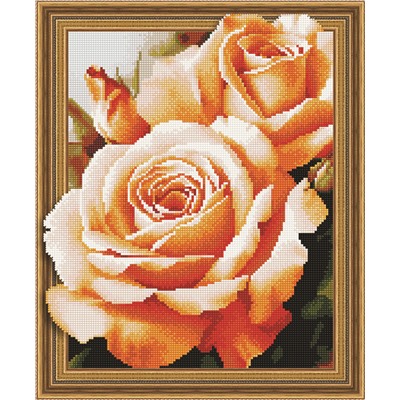 Алмазная картина на подрамнике Чайные розы 40х50