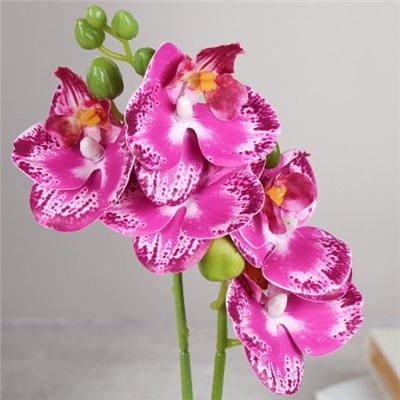 Цветочная композиция Орхидея 30 см / LM-1798 /уп 144/
