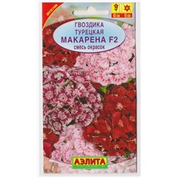 Гвоздика Турецкая Макарена F2