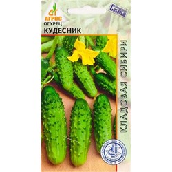 Огурец Кудесник