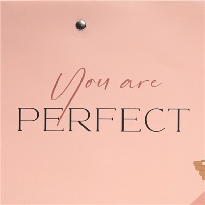 Пакет подарочный «Ты идеальна», 30 × 20 × 10 см