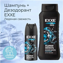 Набор мужской EXXE Шампунь + Дезодорант, Ледяная свежесть