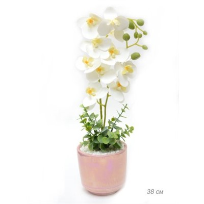 Цветочная композиция Орхидея 38 см / 0213-152 /уп 24/