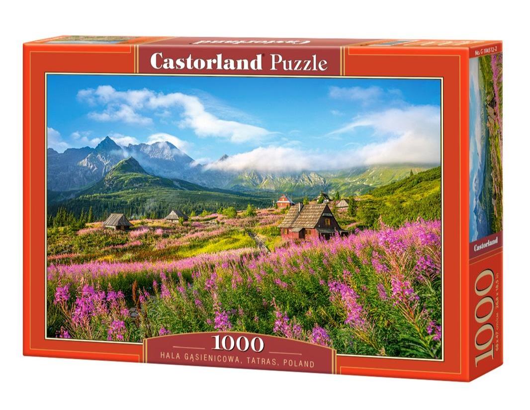 Пазлы castorland. Пазлы Castorland "Татры. Польша", 1000. Castorland Puzzle hala gasienicowa Tatras Poland. Пазлы Касторленд 1000. Пазлы Касторленд 1000 элементов.