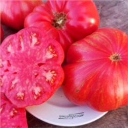 Помидоры Джаз — Jazz Tomato (10 семян)