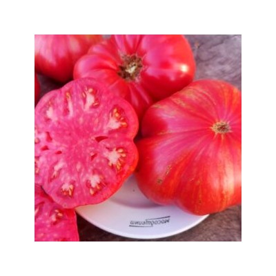 Помидоры Джаз — Jazz Tomato (10 семян)