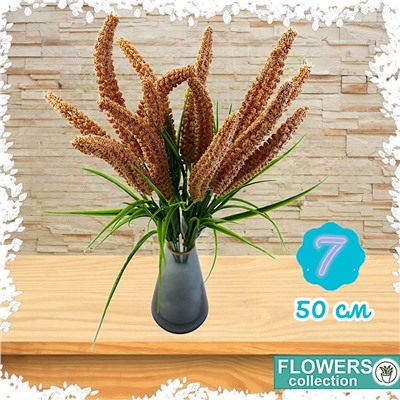 Декоративное растение Пырей, цвет кремовый, 50 см, 7 голов