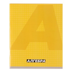 Тетрадь предметная "MonoTone" 36 листов в клетку "Алгебра",со справочным материалом, обложка мелованая бумага, блок № 2, белизна 75% (серые листы)