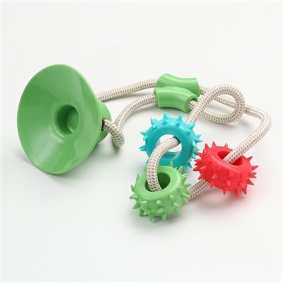 Игрушка для собак "Кольца с шипами на присоске", 40 см, зелёная/голубая/красная