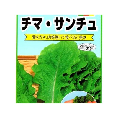 Чима — Японский Салат для Рулетиков Санчу -チマ・サンチュ — Chima Sanchu (50 семян)