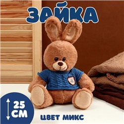 Мягкая игрушка «Зайка», в свитере, 25 см, цвет МИКС