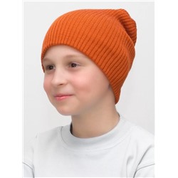 Шапка для мальчика весна-осень Ниса (Цвет оранжевый), размер 52-56, шерсть 50%