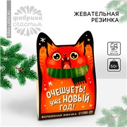 Новый год! Жевательная резинка «Уже Новый год», вкус: тутти-фрутти, 50 г.