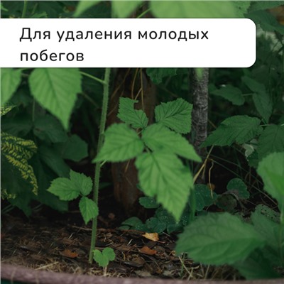 Ножницы садовые, 8" (20 см), с пластиковыми ручками, Greengo