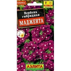 Вербена Маджента