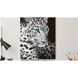 Картина по номерам на холсте 50х40 см. «леопард»