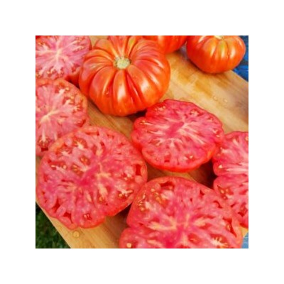Помидоры Марманд от Мадам Гарньер из Парижа — MARMANDE GARNIER Tomatoes (10 семян)