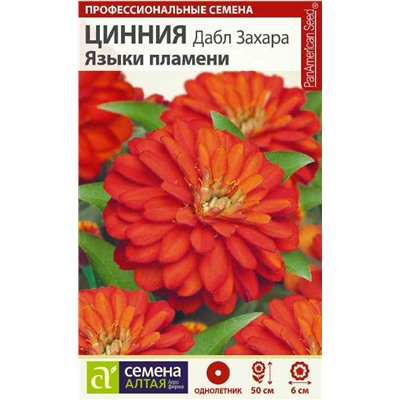 Цинния Дабл Захара Языки пламени/Сем Алт/цп 6 шт. НОВИНКА