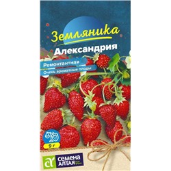 Ягода Земляника Александрия ремонтантная/Сем Алт/цп 0,05 гр.