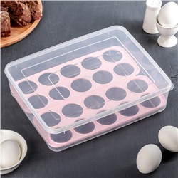 Контейнер для хранения яиц, 20 ячеек, 27,5×22×7 см