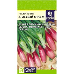 Лук на зелень Красный Пучок/Сем Алт/цп 0,5 гр. НОВИНКА!