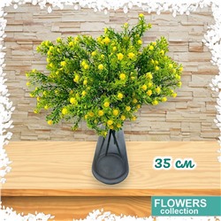 Гипсофила желтая 35 см, декоративное растение