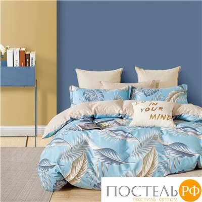 TPIG2-1723-50 КОД1049 Twill 2 спальный 50x70 (2 шт) Сатин (Твил) Коробка