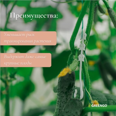 Кистедержатель, 9 см, набор 50 шт., Greengo