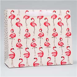 Пакет ламинированный горизонтальный «Фламинго», ML 27 × 23 × 11,5 см