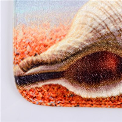 Набор ковриков для ванной и туалета Доляна «Пляж с ракушками», 2 шт: 40×50, 50×80 см