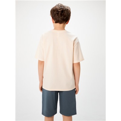 Комплект детский для мальчиков ((1)футболка и (2)шорты) Cod_set  разноцветный Acoola
