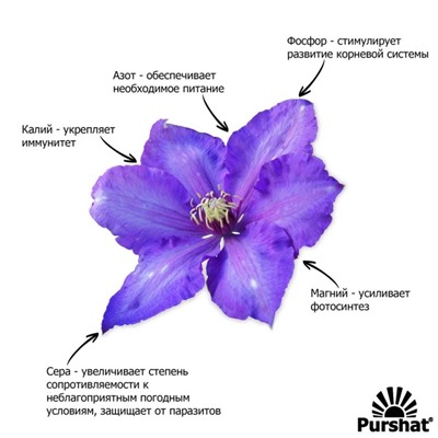 Пуршат-М водорастворимое средство для клематисов, 500г